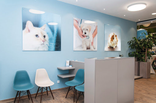 Activet veterinary practice Krefeld unter Krefeld, Nordrhein-Westfalen