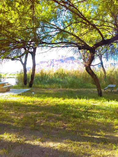 Tourist Attraction «Salt River Tubing», reviews and photos, 9200 N Bush Hwy, Mesa, AZ 85215, USA