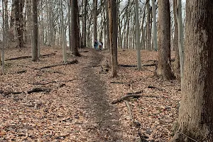 Glover Archbold Park image