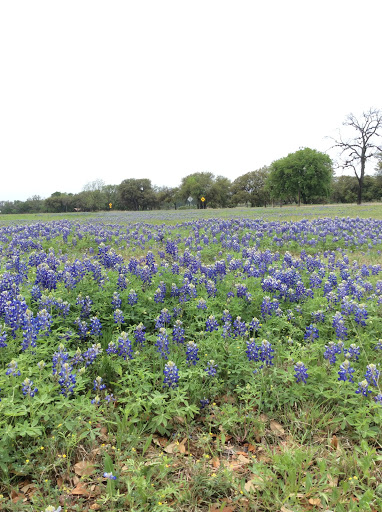 State Park «Lyndon B. Johnson State Park & Historic Site», reviews and photos, 199 Park Road 52, Stonewall, TX 78671, USA