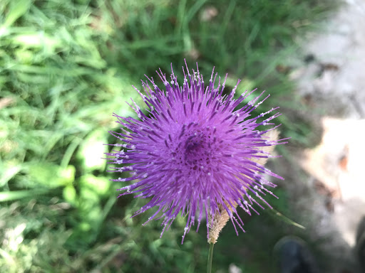 Nature Preserve «Cleveland Lakefront Nature Preserve», reviews and photos, 8701 Lakeshore Blvd, Cleveland, OH 44108, USA