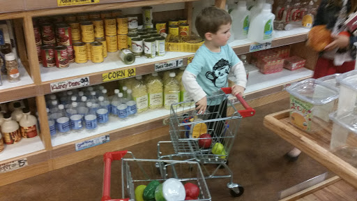 Non-Profit Organization «Pretend City Childrens Museum», reviews and photos