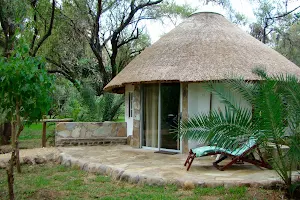 Makutsi Safari Springs image