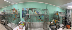 GreyHaven Exotic Pet Boarding - Photo 3 - Car repair in Nashville, TN, Nashville