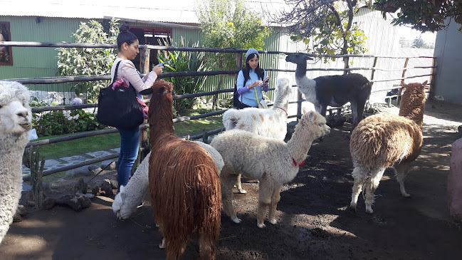 Apus Arequipa Adventures (Victour4U) - Agencia de viajes