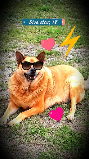 City Park «Shearer Hills/Ridgeview Walking Trail - Olmos Basin Park», reviews and photos, 101 Jackson Keller Rd, San Antonio, TX 78216, USA