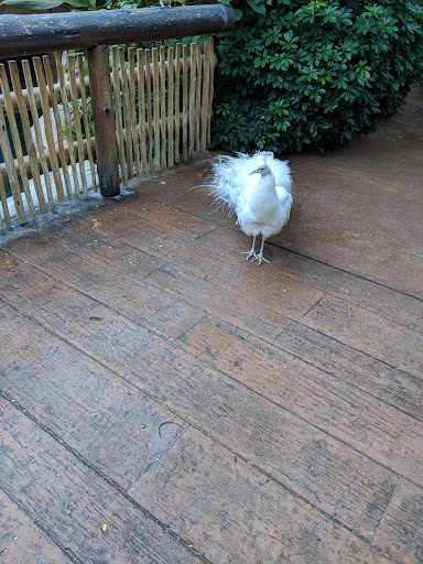 Water Park «Discovery Cove», reviews and photos, 6000 Discovery Cove Way, Orlando, FL 32821, USA