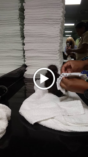 Tennis Club «Westside Tennis & Fitness», reviews and photos, 1200 Wilcrest Dr, Houston, TX 77042, USA