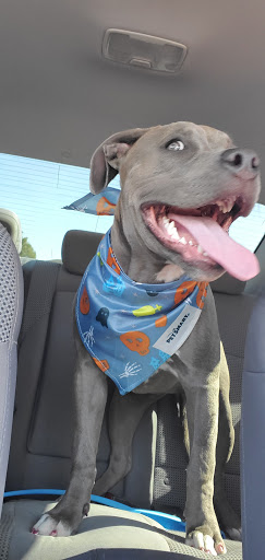 Pet Supply Store «PetSmart», reviews and photos, 13001 Peyton Dr, Chino Hills, CA 91709, USA