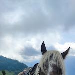Photo n° 4 de l'avis de Dorine.e fait le 24/09/2022 à 10:29 pour Les chevaux de la Spone - Balade & randonnée à cheval - Cours d'équitation - Elevage à Balacet