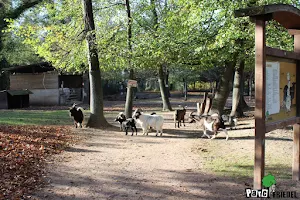 Parc animalier Friedel image