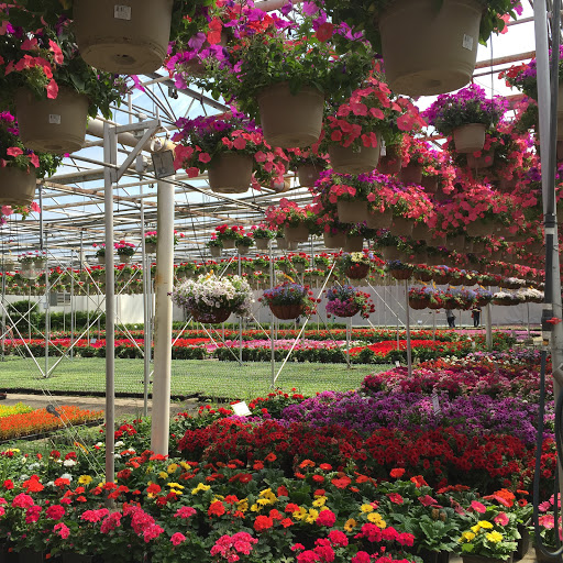 Garden Center «Gro-Rite Garden Center & Florist», reviews and photos, 30 Hillview Rd, Lincoln Park, NJ 07035, USA