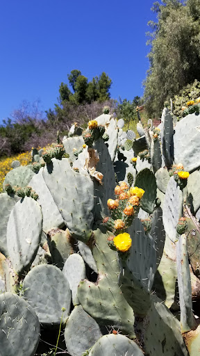 Park «Aliso Canyon Park», reviews and photos, East of Reseda between Senson & Rinaldi, Northridge, CA 91326, USA