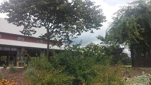 Winery «CeNita Vineyards, Winery & Tasting Room», reviews and photos, 591 Dock Dorsey Rd, Cleveland, GA 30528, USA