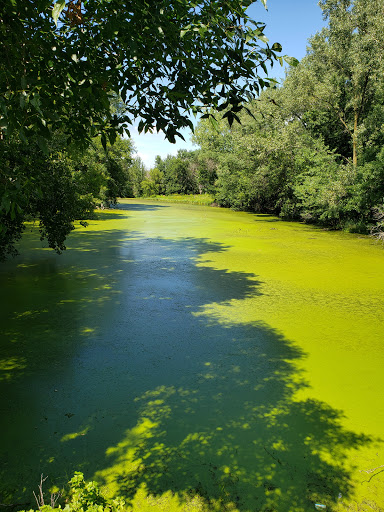 Nature Preserve «Southwood Nature Preserve», reviews and photos, 2651 Holloway Ave E, North St Paul, MN 55109, USA