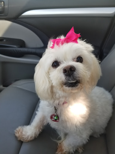 Pet Supply Store «Petsense Corinth», reviews and photos, 1663 Virginia Ln, Corinth, MS 38834, USA