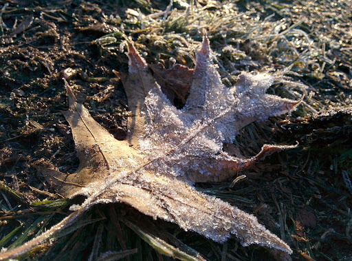 Park «Norumbega Park», reviews and photos, 2285 Commonwealth Avenue, Auburndale, MA 02466, USA