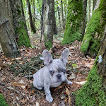 Photo n° 1 de l'avis de Us.a fait le 14/01/2024 à 18:24 pour IL RISTORANTE - le restaurant Italien de Rennes - Pacé à Pacé