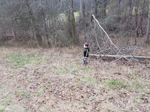 Auto Repair Shop «Pittman Automotive», reviews and photos, 2275 Braselton Hwy, Buford, GA 30519, USA