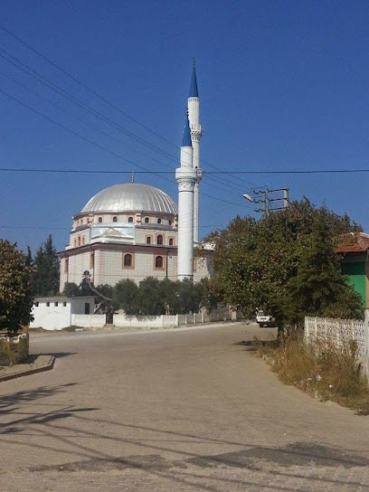 Söğütpınar Köyü Cami