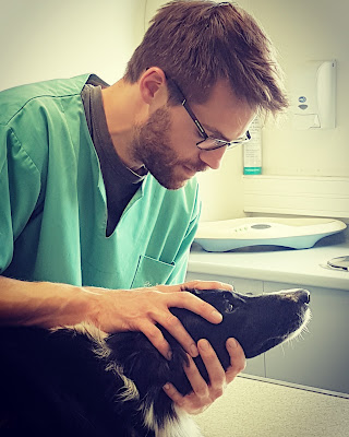 Kévin DEJEAN Vétérinaire Ostéopathe à Plélan-le-Grand