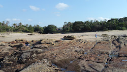 Dassie beach'in fotoğrafı biraz temiz temizlik seviyesi ile