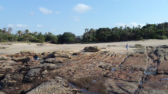 Dassie beach