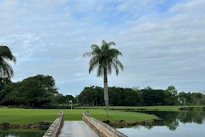 Guavaberry Golf and Country Club image