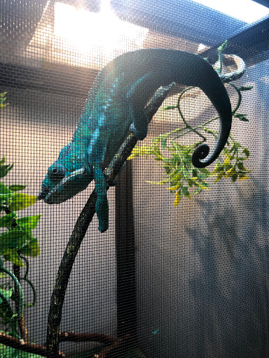 Pet Store «Parker Exotic Pets», reviews and photos, 17880 Cottonwood Dr, Parker, CO 80134, USA