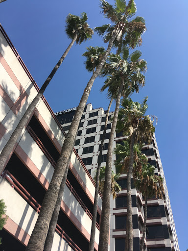 Phonexa image