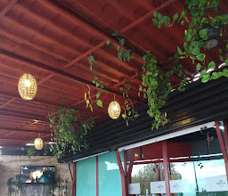 Tacos Don Luis photo