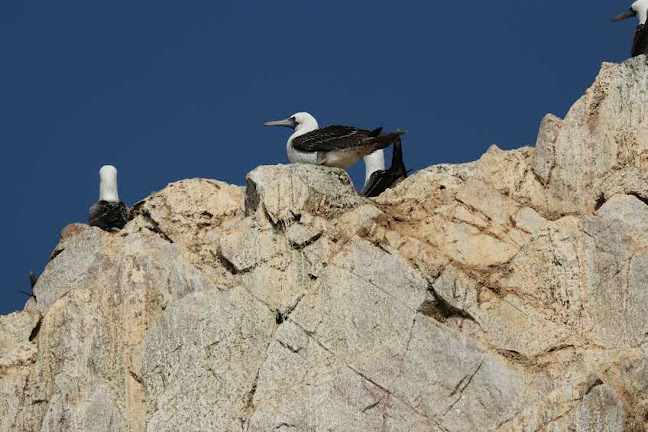 Comentarii opinii despre Hotel Refugio del Pirata