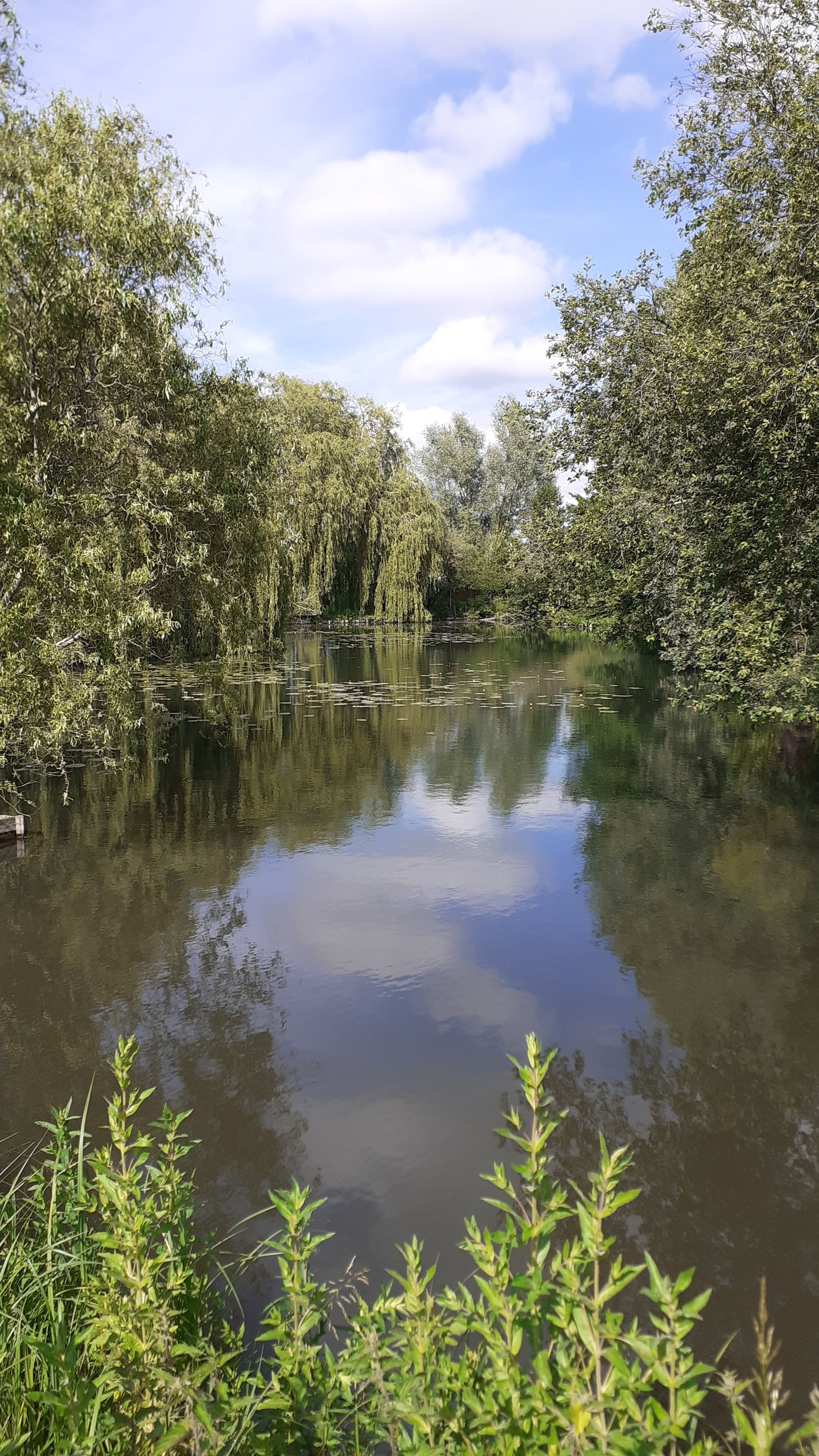Photo n° 7 de l'avis de Domi.e fait le 27/07/2021 à 18:07