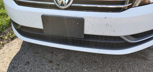 Self Service Car Wash «Wash Works Euclid Inc», reviews and photos, 790 E 222nd St, Euclid, OH 44123, USA