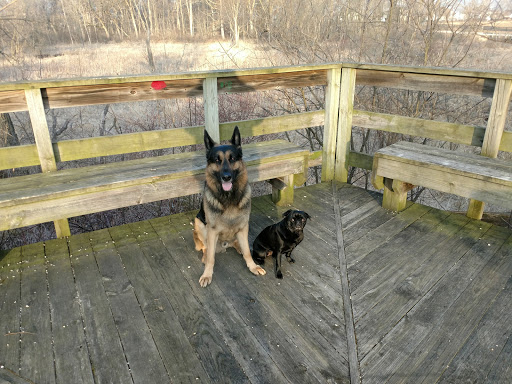 Nature Preserve «Subat Forest Preserve», reviews and photos, 4675-4999 Eldamain Rd, Plano, IL 60545, USA