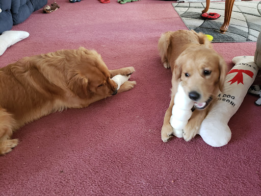 Pet Supply Store «Living Things», reviews and photos, 3437 PA-309, Orefield, PA 18069, USA