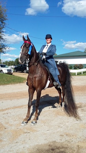 Shelbyville Horse Show - photo 50