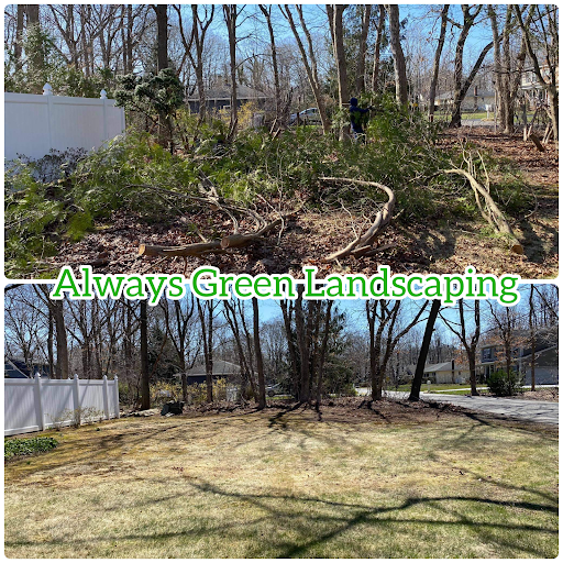 Always Green Landscaping Inc image 8
