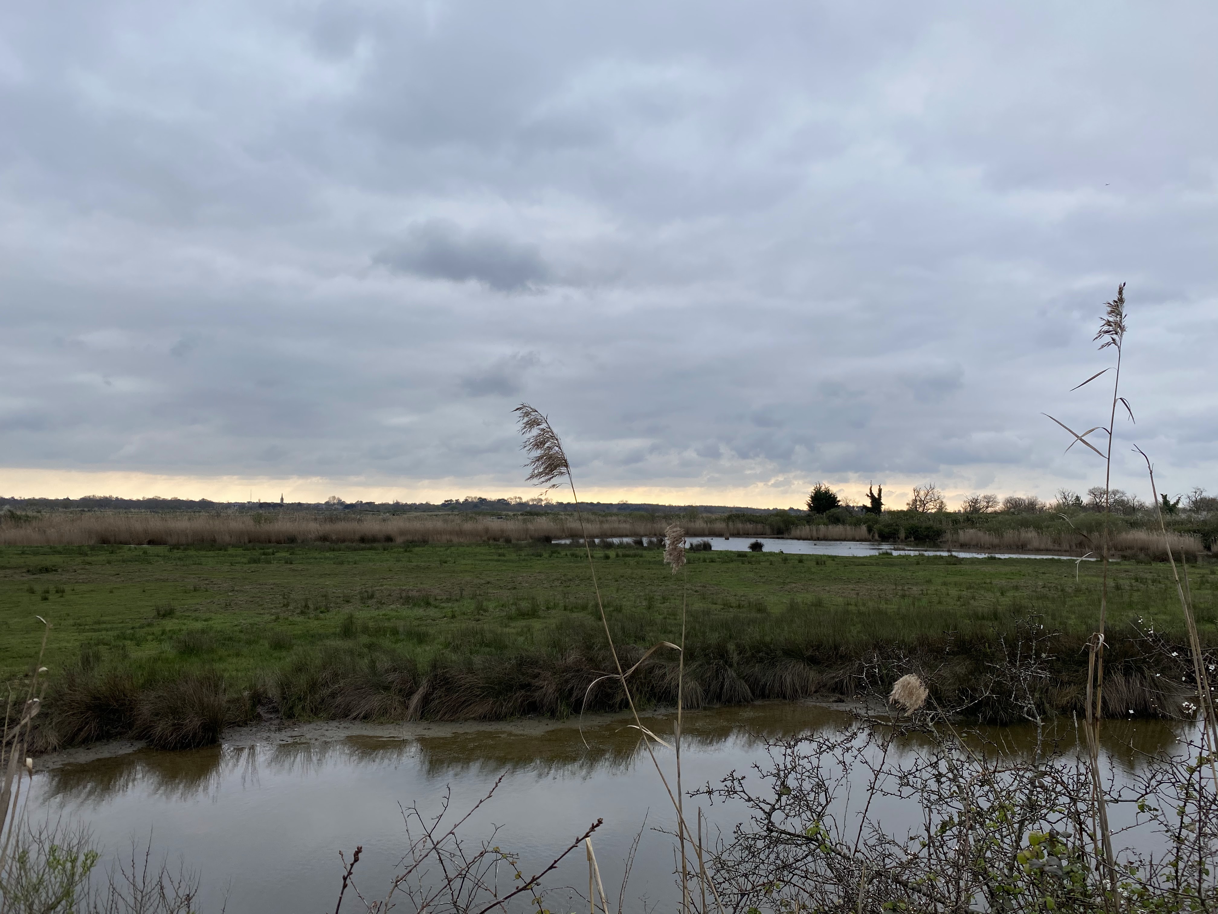 Photo n° 7 de l'avis de Emeric. fait le 23/03/2021 à 07:15