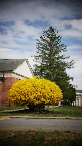 College «Brevard College», reviews and photos