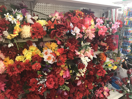 Dollar Store «Dollar Tree», reviews and photos, 847 Queen St, Southington, CT 06489, USA