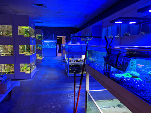 Tropical Fish Store «somethingFISHY», reviews and photos, 1977 Alafaya Trail #1091, Oviedo, FL 32765, USA
