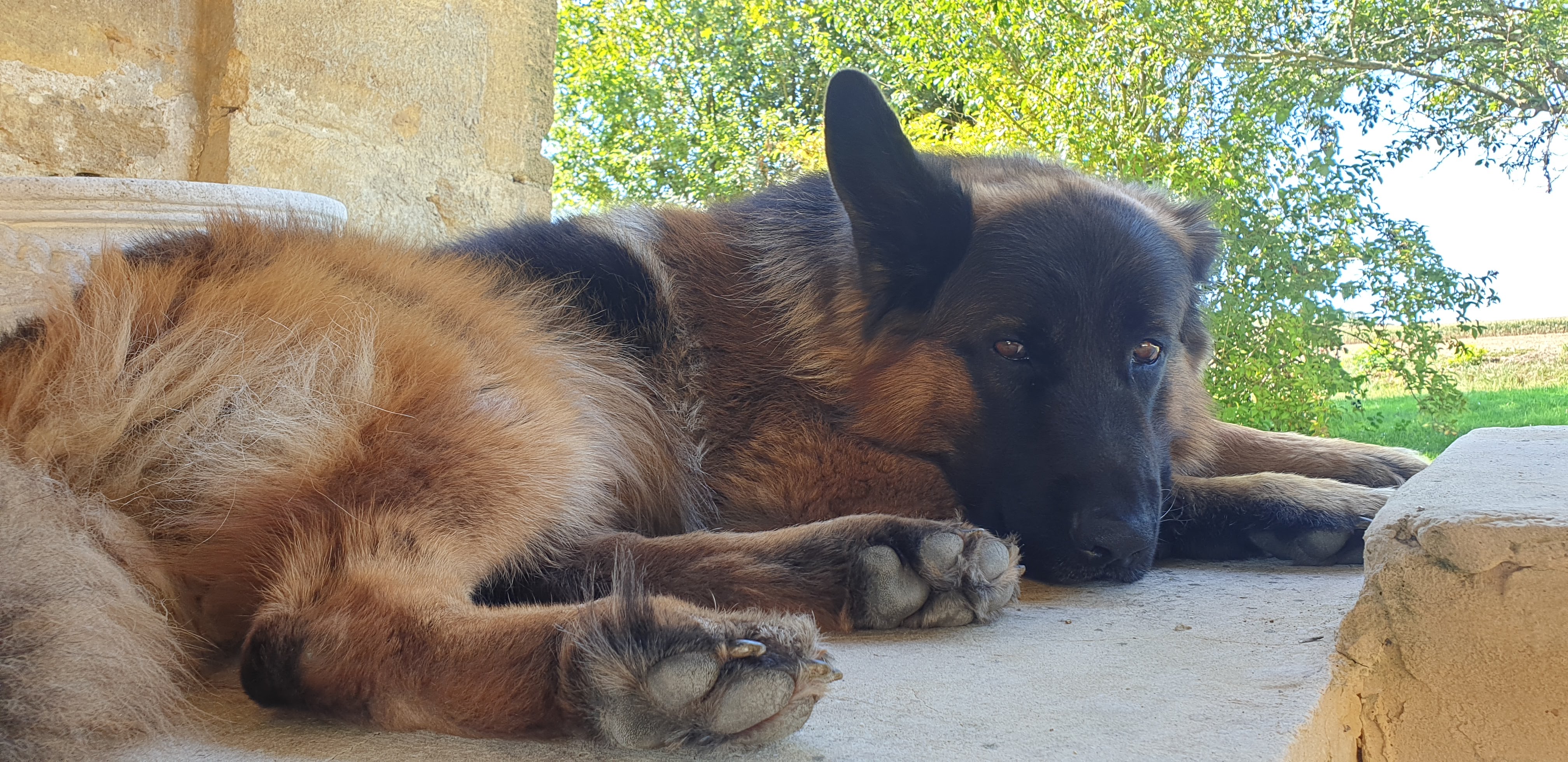 Photo n° 21 de l'avis de Gilles. fait le 28/08/2019 à 13:03
