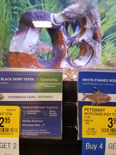 Pet Supply Store «PetSmart», reviews and photos, 2770 FM 365 c, Port Arthur, TX 77640, USA