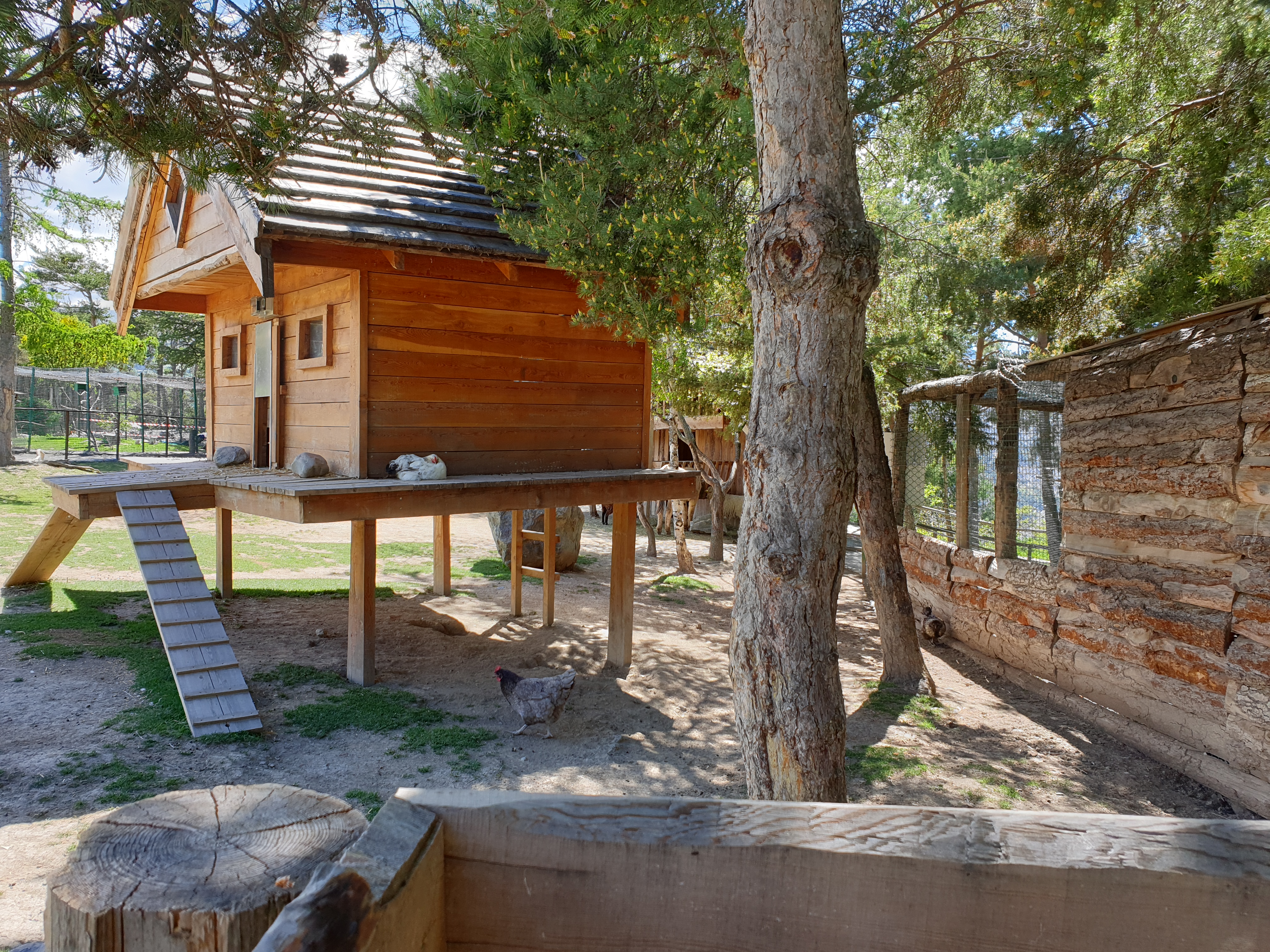 Photo n° 4 de l'avis de Nadège.e fait le 13/06/2019 à 17:22