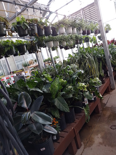 Home Improvement Store «The Home Depot», reviews and photos, 14000 Georgia Avenue, Aspen Hill, MD 20906, USA