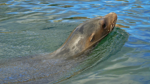 Zoo «Prospect Park Zoo», reviews and photos, 450 Flatbush Ave, Brooklyn, NY 11225, USA