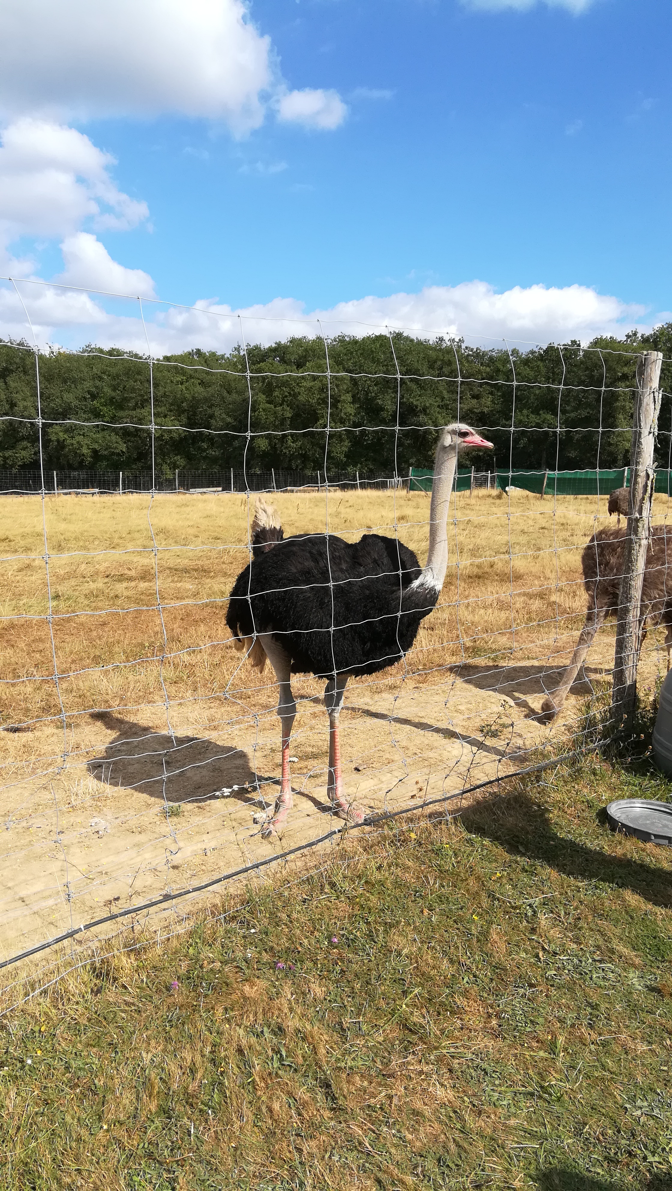 Photo n° 4 de l'avis de Elodie.e fait le 14/08/2018 à 16:43
