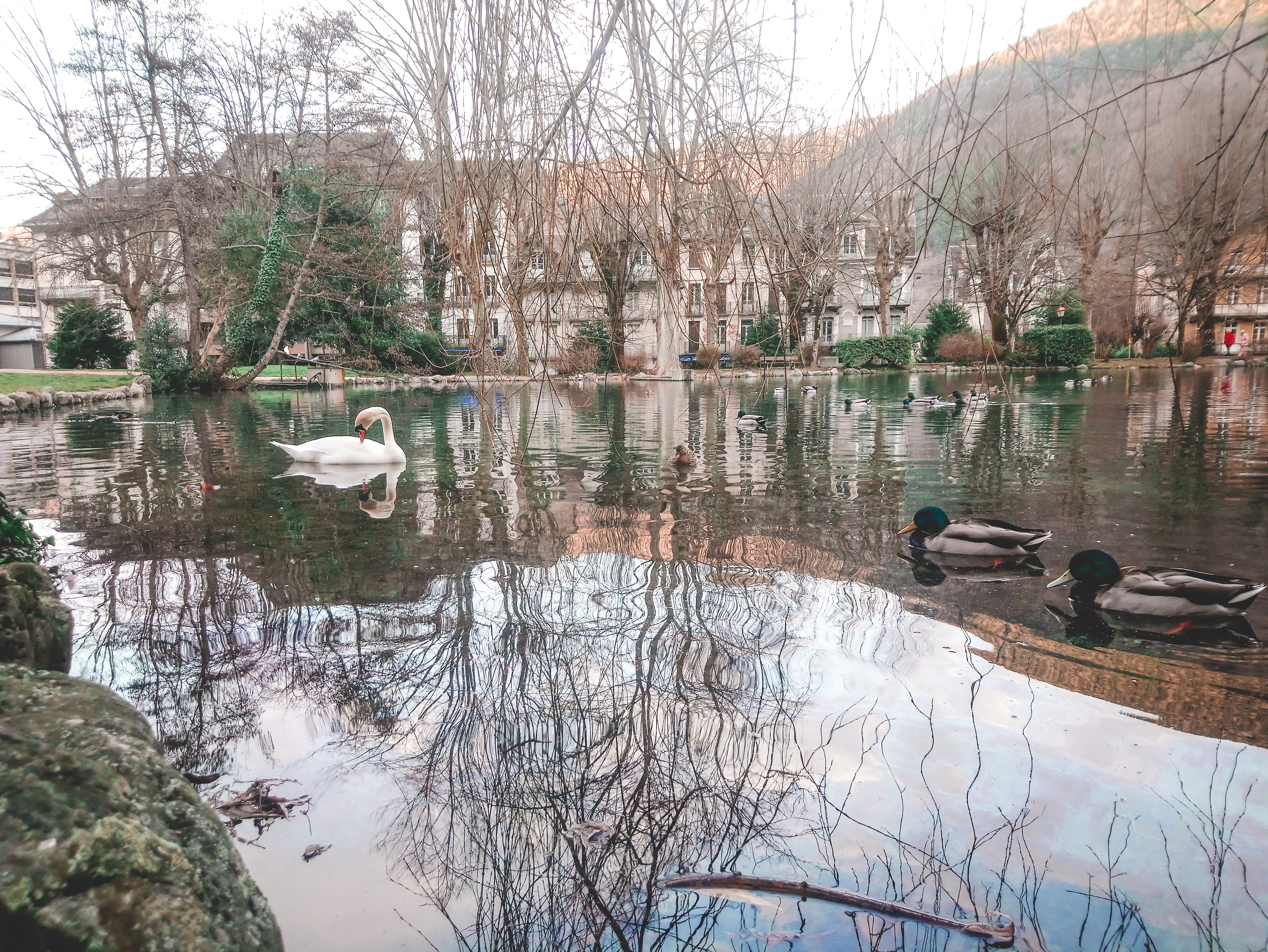 Photo n° 6 de l'avis de Mélodie.a fait le 08/02/2020 à 19:11