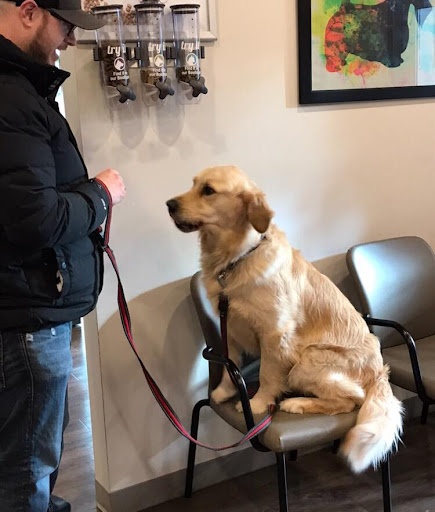 Animal Medical Centre image
